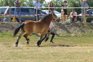 BIZA SA (Ugo Du Bourbeau - Bianka po Lukas)