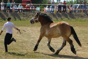 BIZA SA (Ugo Du Bourbeau - Bianka po Lukas)