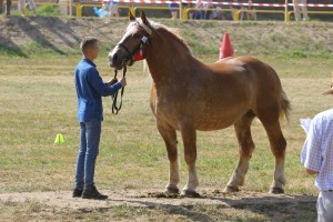 SZYMULKA (Lux - Szer po Vangelis)