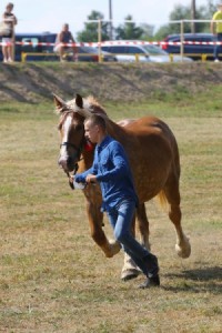 SZYMULKA (Lux - Szer po Vangelis)