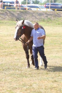 AMANDA (Framand - Ahugara po Gracjan)