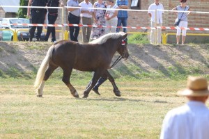 AMANDA (Framand - Ahugara po Gracjan)