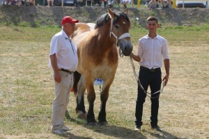 BIZA SA (Ugo Du Bourbeau - Bianka po Lukas)