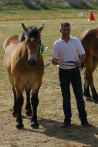 IWANKA (Wiomet - Iwanita po Betowen)