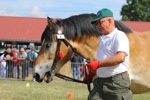 BAJKA (Roki - Bona po Pulower)