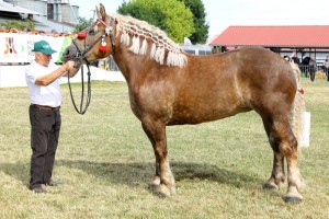 7192 G Bł PIWONIA (Bukan - Palemka po Bilet)