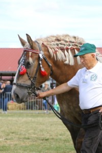 7192 G Bł PIWONIA (Bukan - Palemka po Bilet)