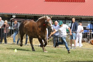7192 G Bł PIWONIA (Bukan - Palemka po Bilet)