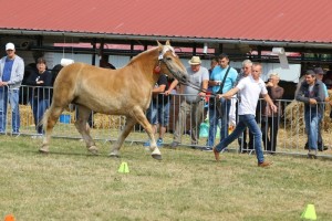 6594 G Bł PATI (Poker - Panama po Birkut)
