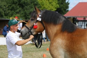 7463 G Bł FRIKA (Poldek - Fanta po Betowen)