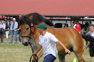 7463 G Bł FRIKA (Poldek - Fanta po Betowen)
