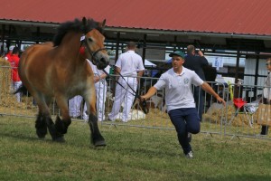 7463 G Bł FRIKA (Poldek - Fanta po Betowen)