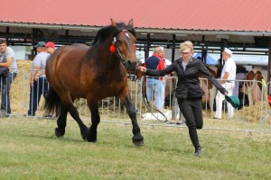 7048 G Bł WENECJA (Bejs - Warka po Rutek)
