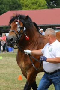 2713 G Bł GREK (Lux - Gracja po Iram)