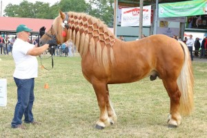 2682 G Bł ETYK (Pyk - Epoka po Upust)