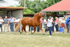 2682 G Bł ETYK (Pyk - Epoka po Upust)