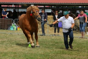 2682 G Bł ETYK (Pyk - Epoka po Upust)