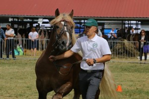 2680 G Bł BENIN (Ryng - Bryła po Bary)