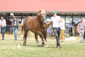 2680 G Bł BENIN (Ryng - Bryła po Bary)