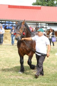 2696 G Bł ELF (Igan - Emma po Roczek)