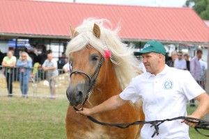 2654 G Bł AMOREK (Tron - Aria po Floks)