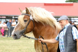 2616 G Bł ASLAN (Murzynek - Azja po Birkut)