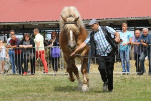 2616 G Bł ASLAN (Murzynek - Azja po Birkut)
