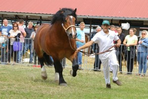 2716 G Bł WETO (Wiomet - Wetona po Betowen)