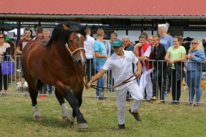 2716 G Bł WETO (Wiomet - Wetona po Betowen)
