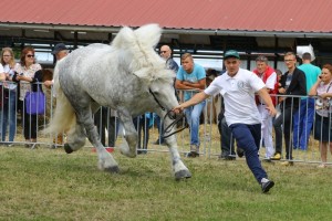 657 G By GROM (Nikodem - Garonia po Pralin)