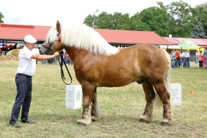 2243 G Gd BLUR (Saler - Bluta po Betowen)