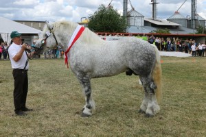 657 G By GROM (Nikodem - Garonia po Pralin)