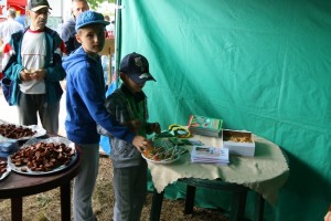 Końskie upominki dla najmłodszych