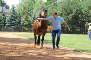 MUSZKA (Boston - Mustania po Muszkieter)