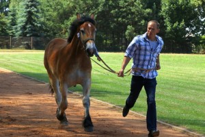 GERDA (Gidam - Galia po Igor Du Champs De Moulin)