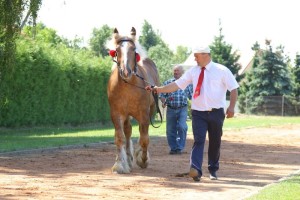 CIOS (Framand - Centa po Wiomet)