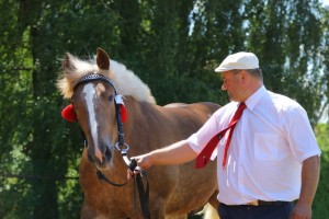 CIOS (Framand - Centa po Wiomet)