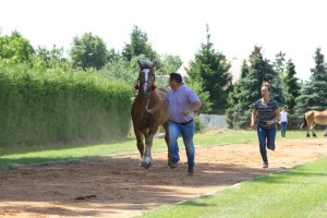 BASTEK (Cyprys - Bryza po Auron)