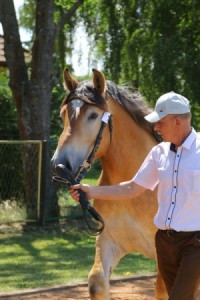 MARTIN M (Paular - Majorka po Expo De Feulen)
