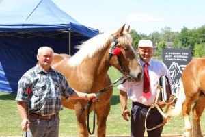 Wręczanie nagr&oacute;d