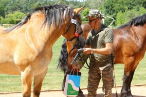 BRYZA (Romn - Beta po Wajper I)