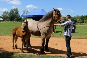 BILKA (Listopad - Bonda po Boletto)