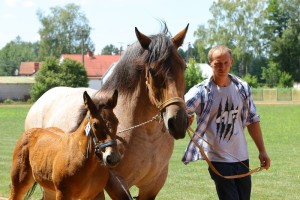 BILKA (Listopad - Bonda po Boletto)