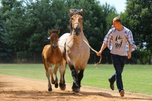BILKA (Listopad - Bonda po Boletto)