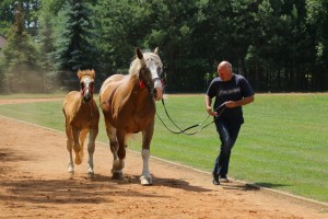 AWARIA (Ug&oacute;r - Awika po Miki)