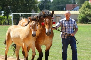 WISKA (Boston - Wizja po NN)