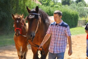 FENIKS (Julex - Figa po Wrozamet)