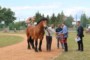 IMG_6608-5d26c3b6288aa