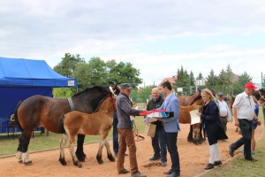 IMG_6611-5d26c3b631cc5