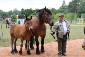 IMG_6615-5d26c3b63ac41